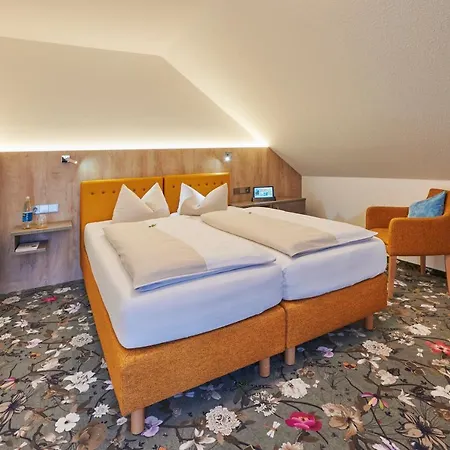 Seerose Hotel 3*