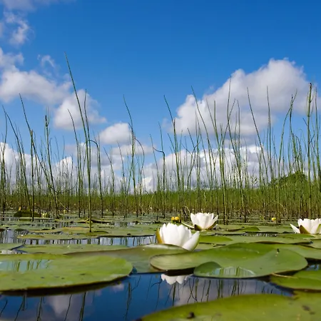 מלון Seerose Langenzenn