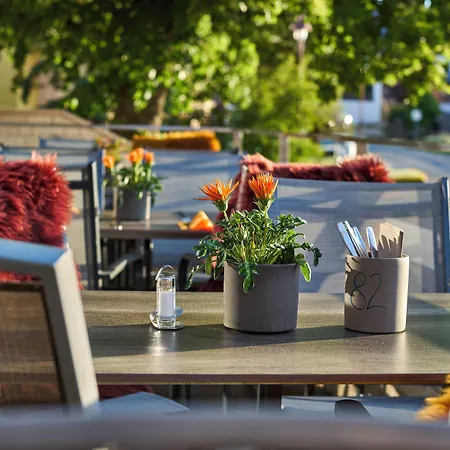 Seerose Hotel 3*